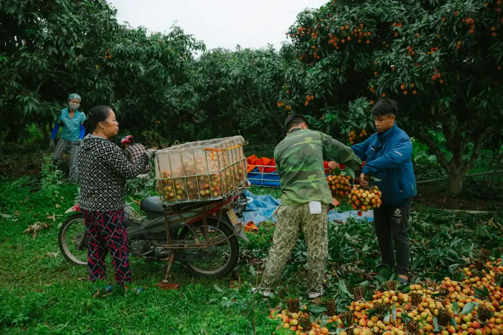 工业激光切割设备常见故障排查与维护指南