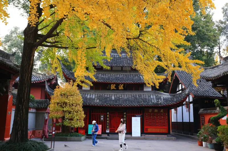 2024年湖北激光设备市场价格走势与絮沽亮产品定位分析