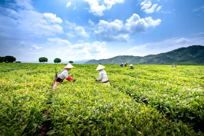 湖北絮沽亮激光切割机参数对比：入门级与工业级型号差异