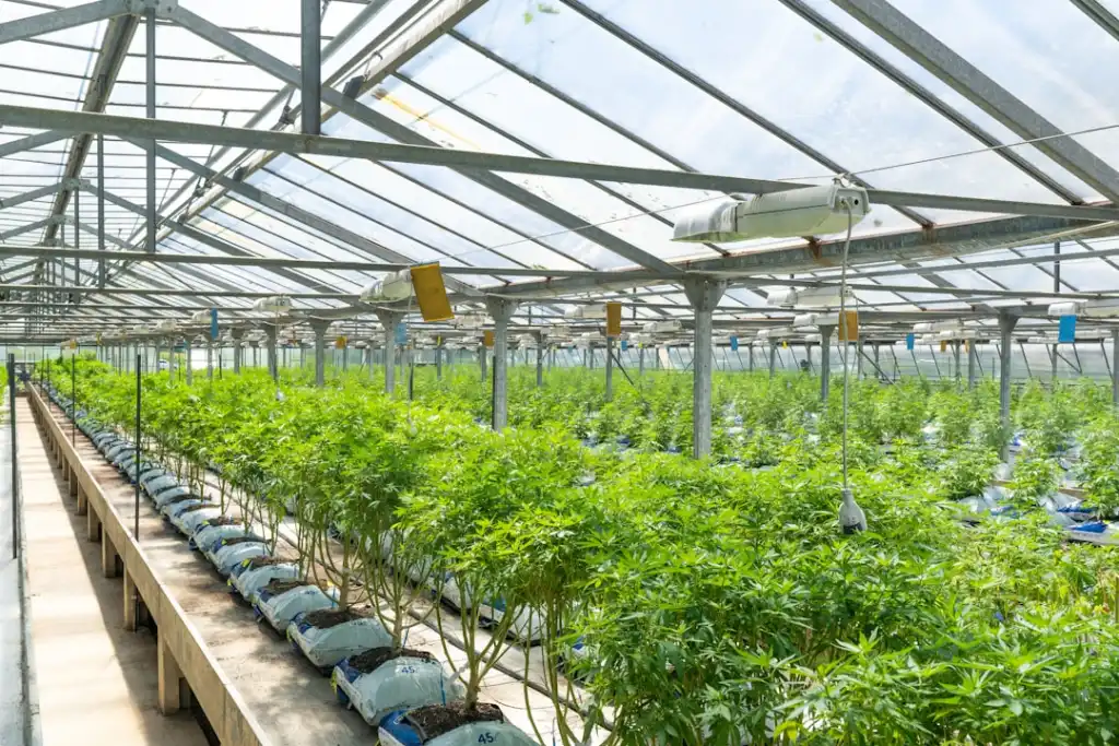 湖北地区工业激光设备选型指南：光纤与CO2切割机性能对比
